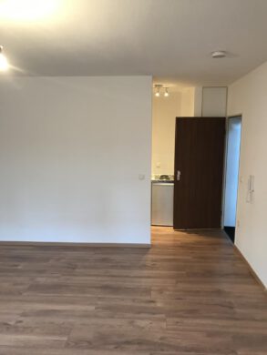 Renovierte 1-Zi-Wohnung mit sehr guter Anbindung!, 69126 Heidelberg, Wohnung